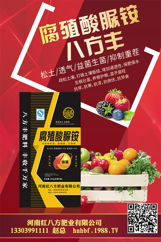 大棚蘑菇該如何種植？大棚蘑菇的種植管理技術(shù)