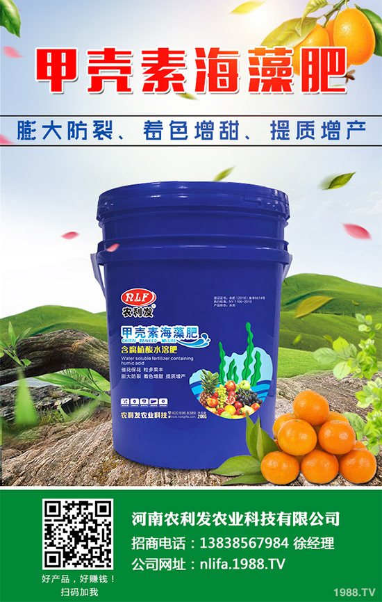 蘑菇種植需要什么條件？蘑菇種植環(huán)境要求