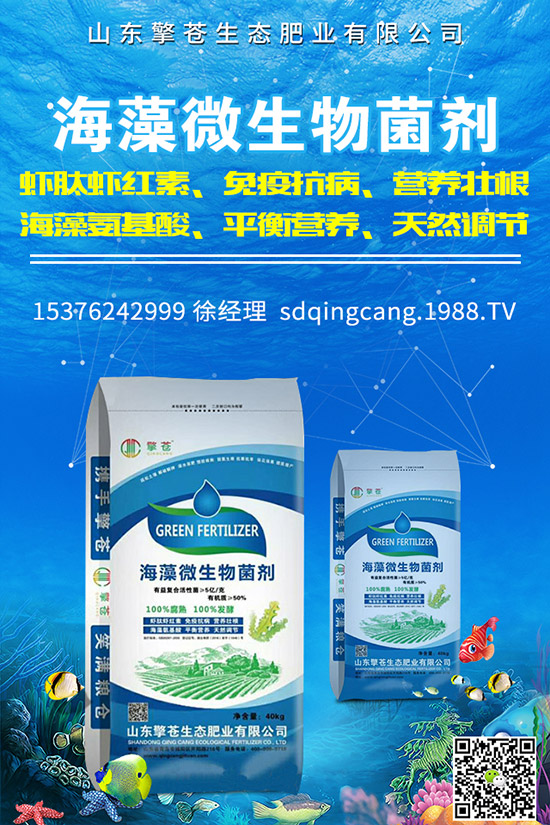     2019年12月2日復(fù)合肥行情回暖！最新企業(yè)出廠參考報(bào)價(jià)一覽！