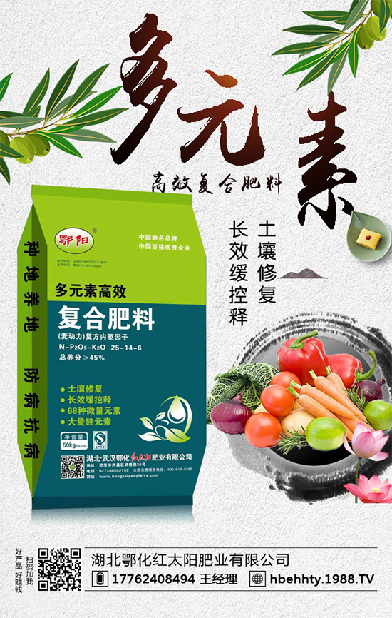 洋蔥什么時(shí)間種植？洋蔥的種植要點(diǎn)！