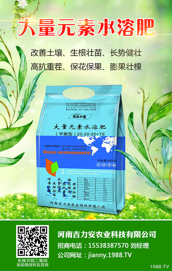 花椒樹(shù)什么時(shí)候種植？花椒樹(shù)種植季節(jié)及種植技術(shù)要點(diǎn)