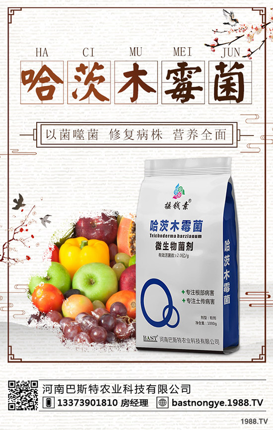 �������鼴�����ӣ�����⛷ʃr�������A�y2019-12-20