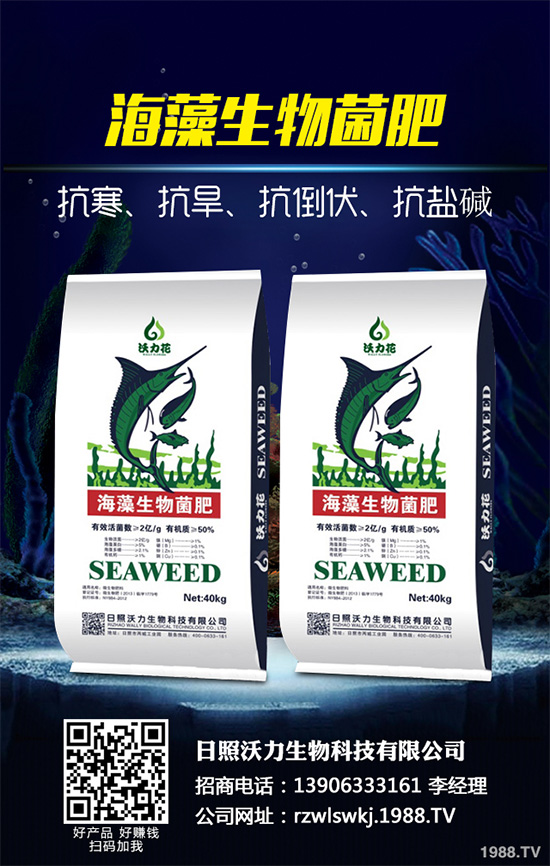 �G��ʲô�r��Nֲ���G��Nֲ�r�g���Nֲ����