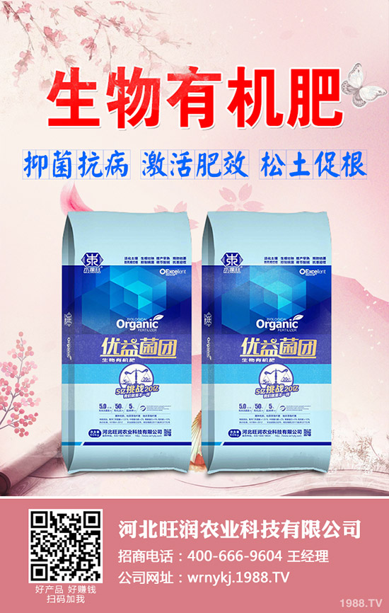 ����׷�ʼ�������Щ������׷�����̝�ˮ�Æ᣿