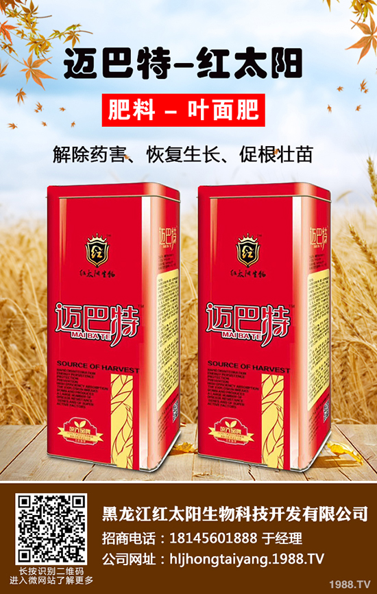 ⛷ʃr���ǝq�ǵ���2019-12-21����(n��i)����⛷ʃr���߄ݷ���