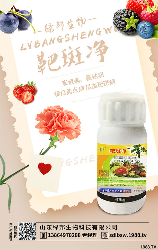 ������ԭˎ�r�������߄ݷ���