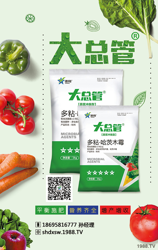 2020年蒜苗種植賺錢嗎？成本多少錢？效益怎么樣？前景如何？