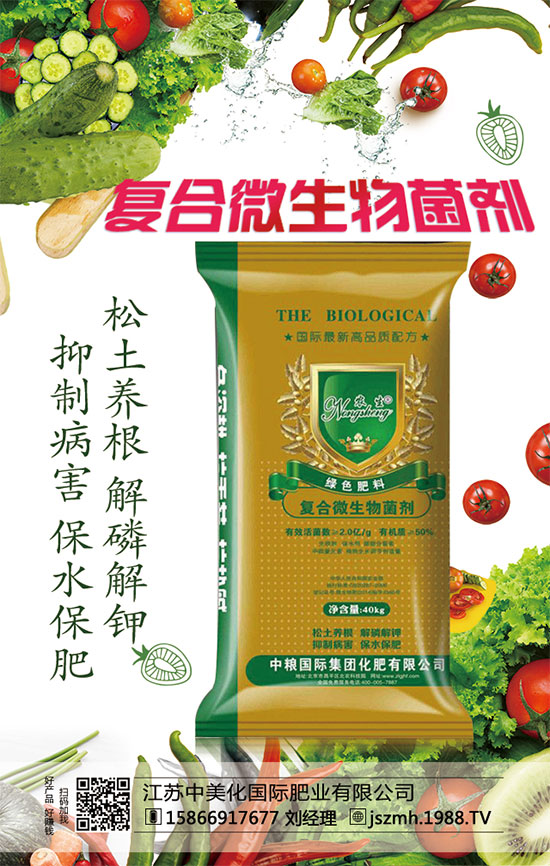     蘆筍市場價多少錢一斤？2020年蘆筍種植前景怎么樣？種植效益分析！