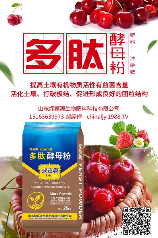 荊芥該如何種植？荊芥的種植環(huán)境要求