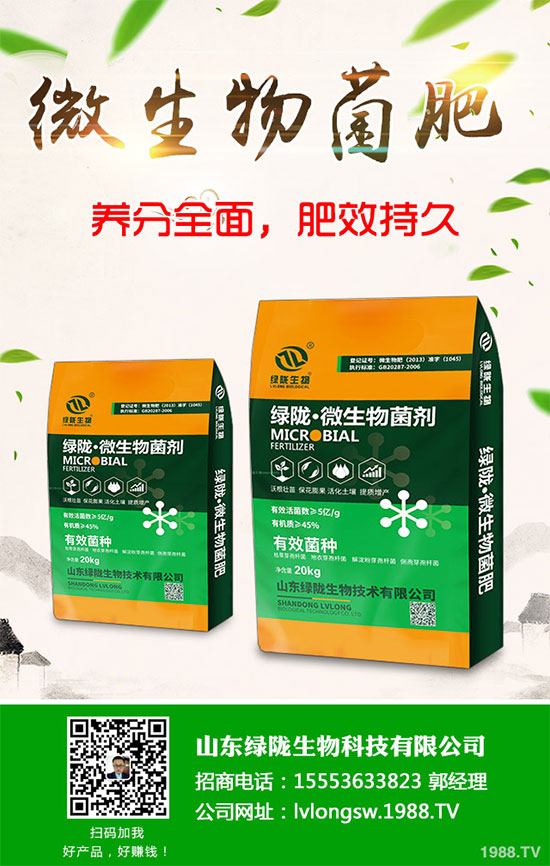 荊芥該如何種植？荊芥的種植環(huán)境要求