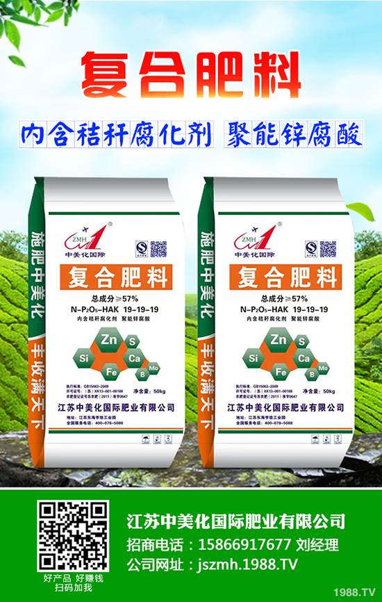 2020年茶油樹種植前景怎么樣？茶油樹種植方法有哪些