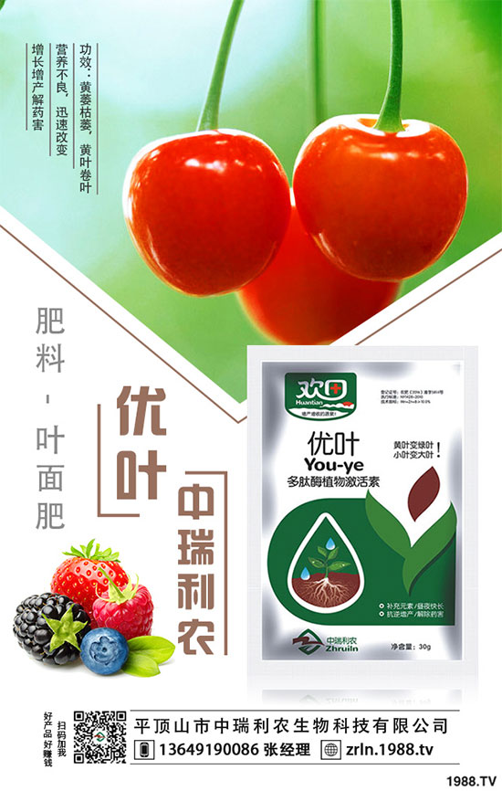 ��乽�����༼�g(sh��)����乽�ķNֲע�����(xi��ng)��