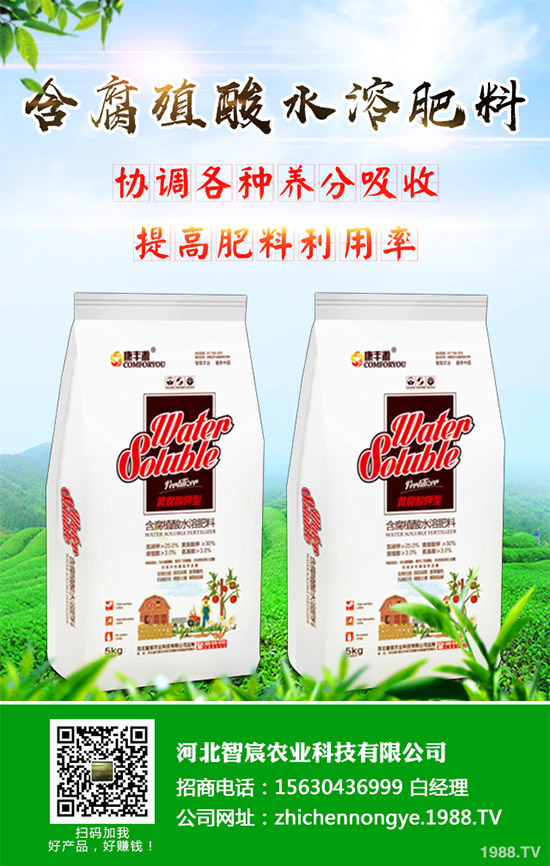 綠花菜該怎么種？綠花菜的高產(chǎn)種植技術(shù)