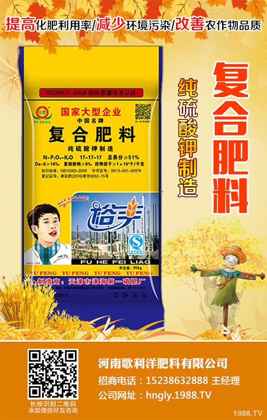 老虎姜該怎么種植？老虎姜高產(chǎn)種植技術(shù)管理