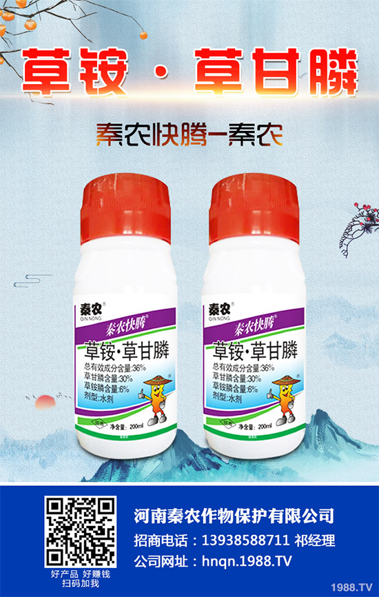 Prentiss�������������s�ݳ��݄�Camp-D ��2��4-D�Ͱ��������