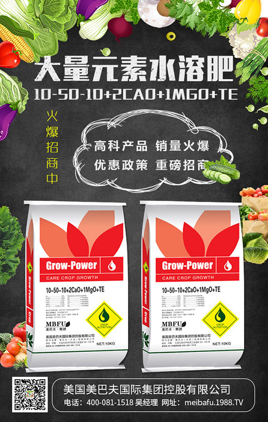     2019���������@��������r��C�Ϸ��������