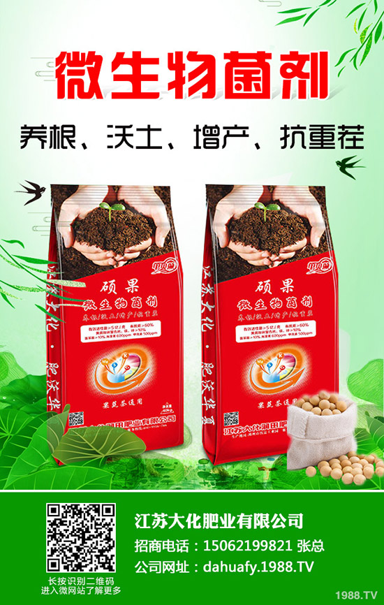 香菜一畝產(chǎn)量是多少？2020種植香菜賺錢嗎？前景和成本利潤(rùn)如何？
