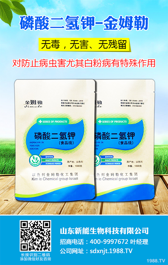 魔芋價(jià)格多少錢一斤？2020年魔芋種植的市場(chǎng)行情