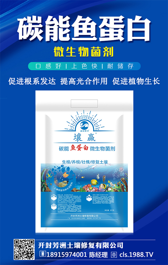 黃皮果種植管理要點，黃皮果種植條件有哪些？