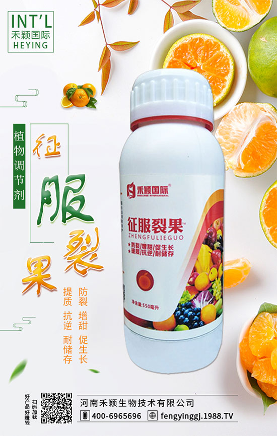 ľ����ʲô�r�g�Nֲ��ľ���˷Nֲ������