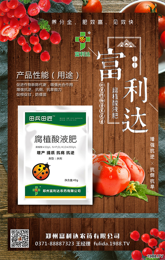 �Nֲʲôˎ����ٍ�X��2020����ˎ�ķNֲǰ������