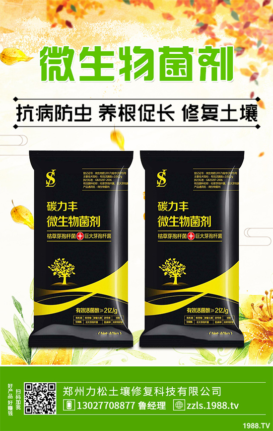 天麻該怎么種植？天麻的環(huán)境要求及種植技巧