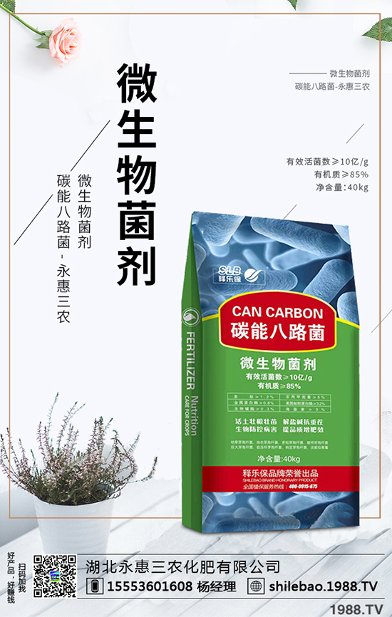 2020年西梅的種植前景如何？西梅價格多少錢一斤？