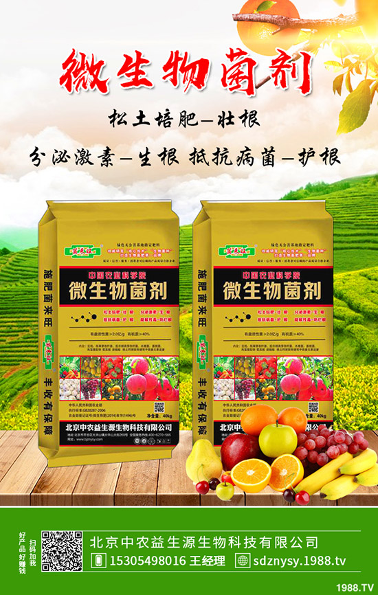     2019年12月底化肥行情不溫不火！2020年化肥價格行情走勢預(yù)測！