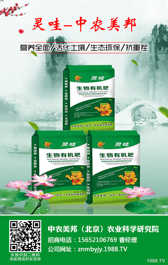 吃天麻有哪些好處？天麻的功效作用及食用禁忌