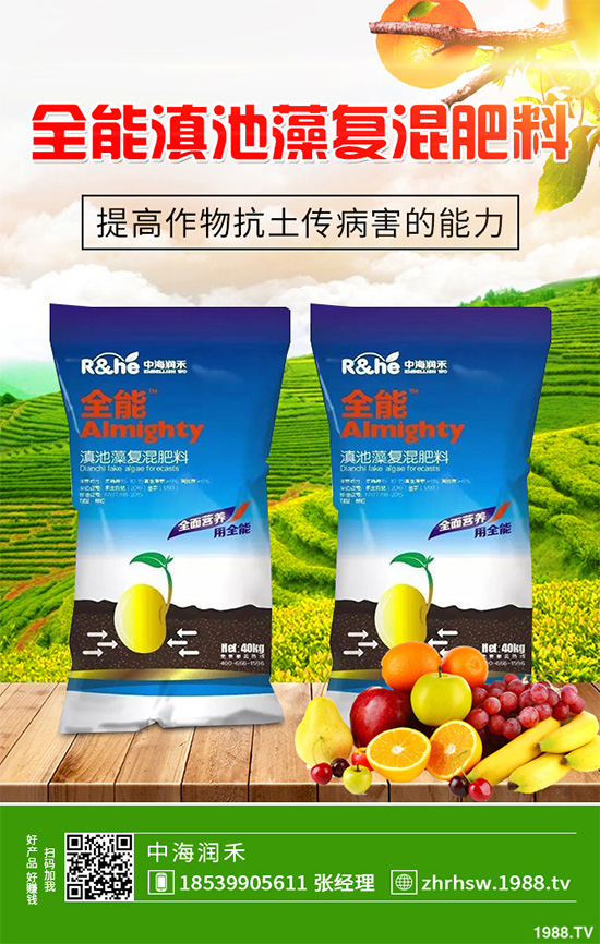 新鮮天麻和干天麻有哪些區(qū)別？那個效果更好？