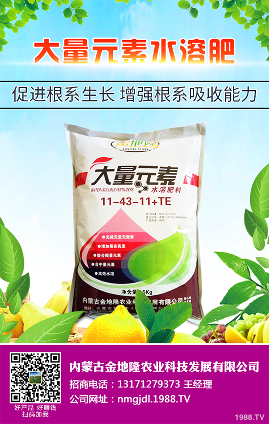 降雪過后，蔬菜大棚你知道該怎么管理嗎？