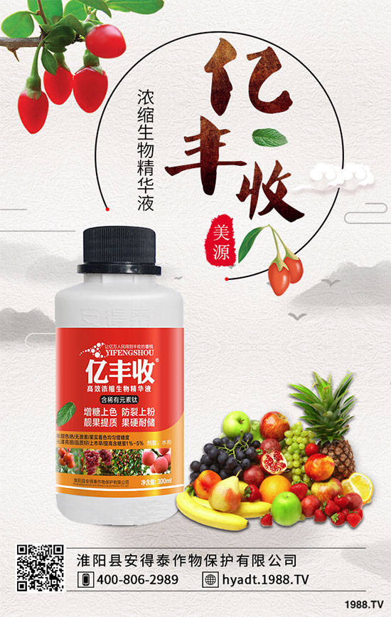 荔枝果樹怎么修剪？荔枝采后修剪的常見誤區(qū)！