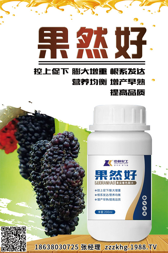 ��ɏ����Щ�I�B(y��ng)�r(ji��)ֵ����ɏ�Ĺ�Ч���ü�ʳ�÷���