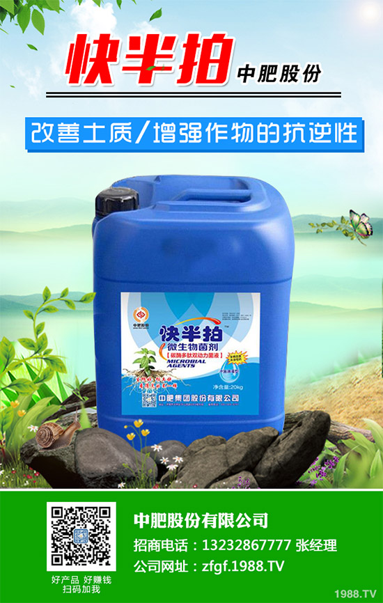 金線蓮該如何種植？金線蓮的種植及養(yǎng)管理