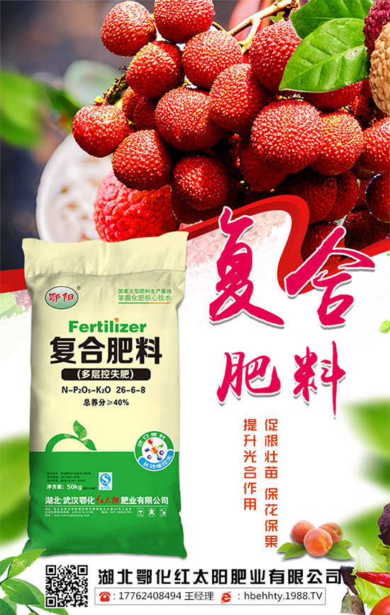 �ͺϷ�����r������2019��12��31�ս��ՏͺϷʃr��������