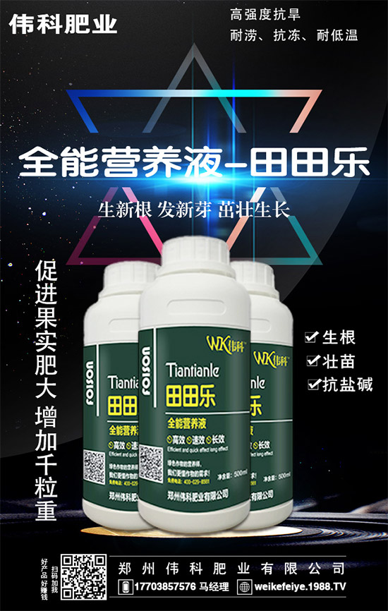     ���ӵĠI�B(y��ng)�rֵ����Щ����Ч�c��������Щ��������Щ��Ⱥʳ����