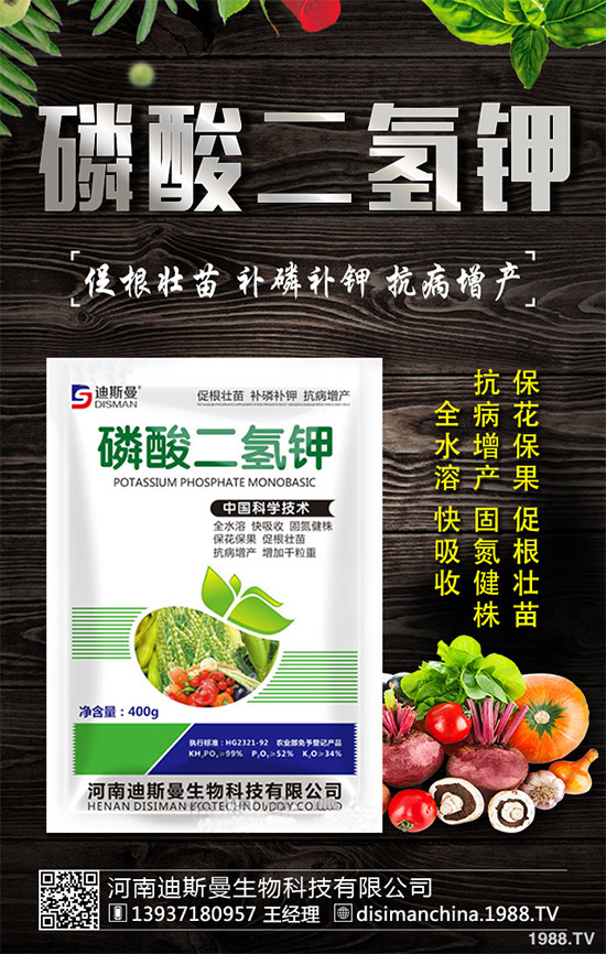 野生金線蓮有哪些神奇功效？野生金線蓮的功效及用法