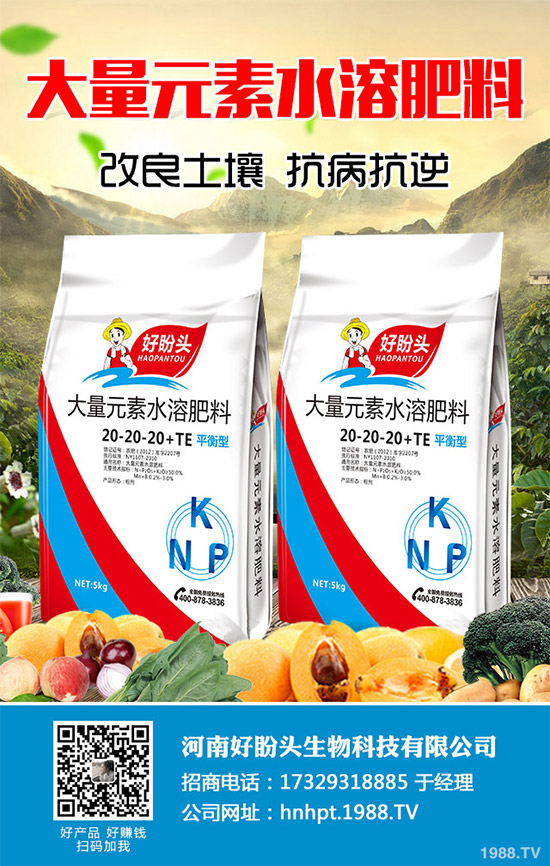 ������֪���Ľ�ɏ���p���ų����w11�N������