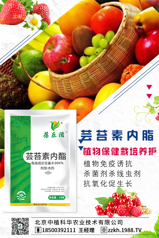 �ʽ�ʲô�r(sh��)�g�Nֲ���ʽ��ĸ߮a(ch��n)�Nֲ������