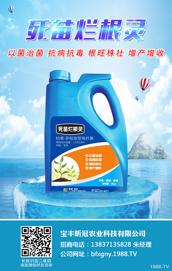 甜菜的種植條件有哪些，甜菜的種植要點(diǎn)！