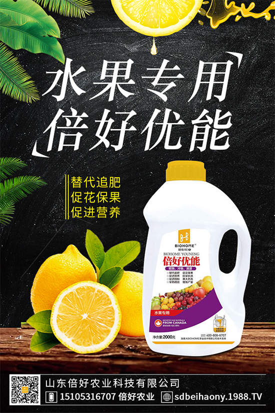 木耳菜有哪些營養(yǎng)價(jià)值？木耳菜的功效作用