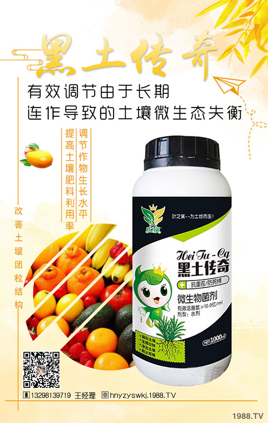 花椒樹什么季節(jié)種植？花椒樹的種植注意事項(xiàng)！