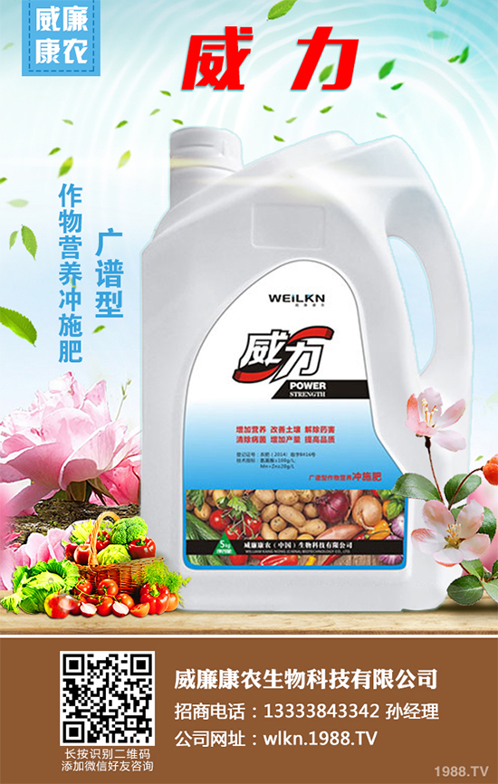     木耳菜不僅好吃而且營養(yǎng)豐富，它含有極其豐富的營養(yǎng)元素，特別是鈣、鐵等元素的含量非常的高，下面小編就為大家講述一下木耳菜的采收方法，一起來看看吧！