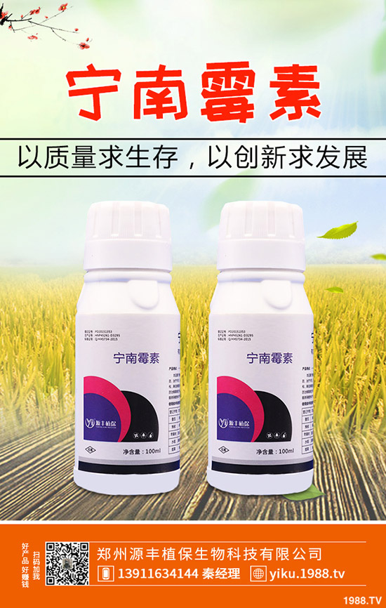 葛根的種植前景怎么樣，葛根的種植技術有哪些？