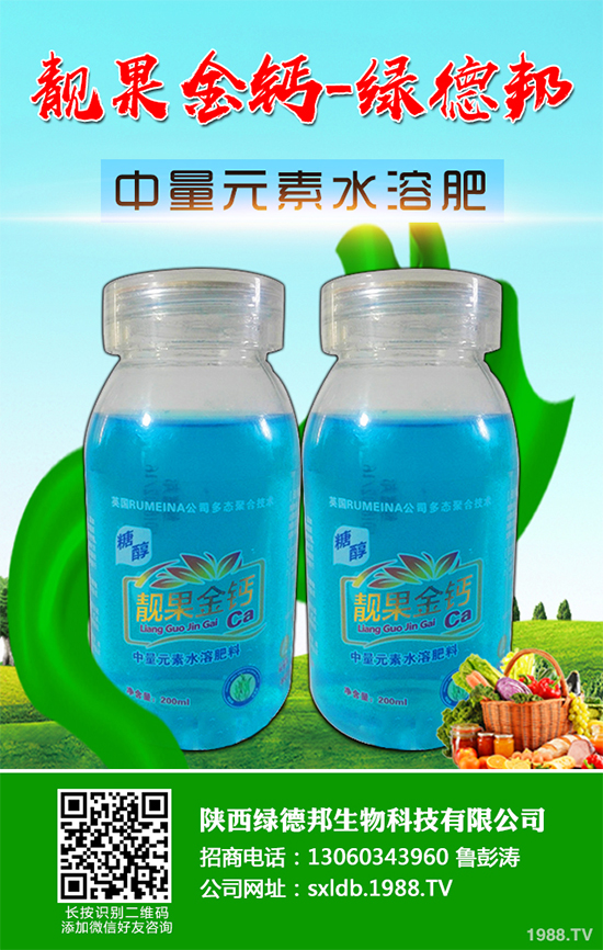 �����߲�����ЩƷ�N�������߲˵ķNֲ�l����ע�����(xi��ng)