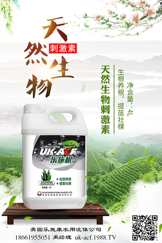 冬季該如何栽培馬鈴薯？七步輕松獲得高產(chǎn)