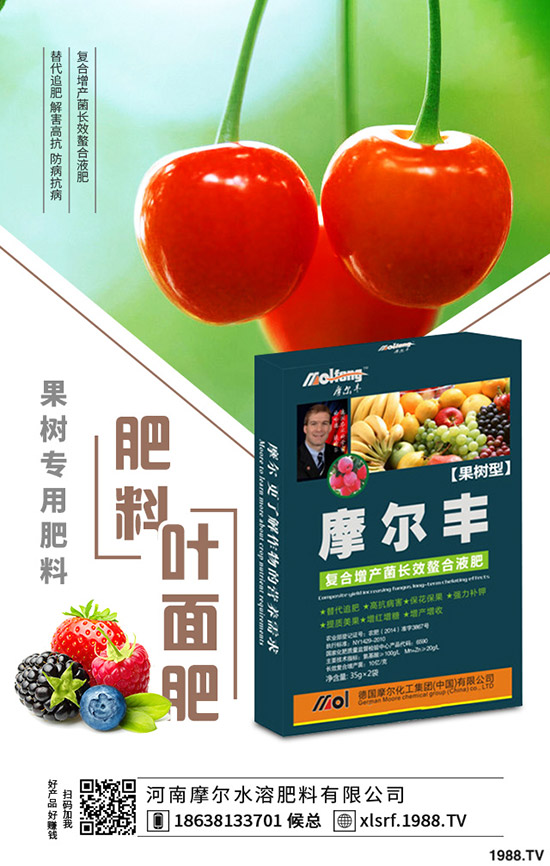 黃精種植到底掙不掙錢？黃精種植要點分析！