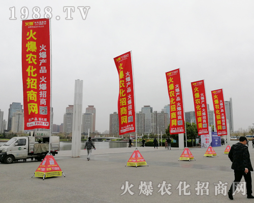     2019���ϴ���ֲ�������r(n��ng)���W(w��ng)���P�ķ���