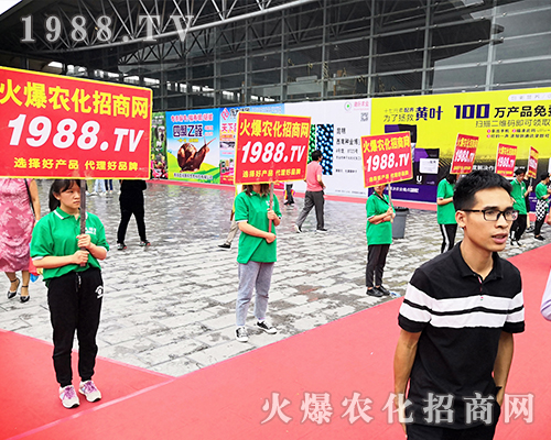     ���r(n��ng)�����̾W(w��ng)��2019�����r(n��ng)�Y�������G�ؼ����ի@�M�M