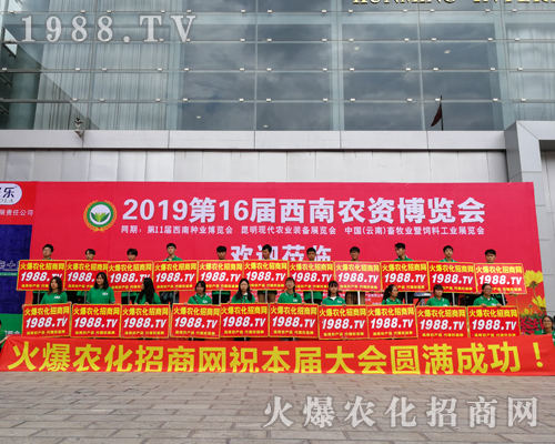     2019�����r(n��ng)�Y���[�������r(n��ng)���W(w��ng)�������o̎����